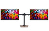 Heavy-Duty Dual Monitor Stand, Clamp on Base, Fully Adjustable Wide Arms, for 2 Screens up to 32 inches with 75 * 75mm and 100 * 100mm VESA, Black (2HDC)