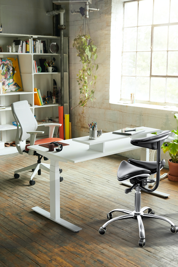 Ergonomic Saddle Stool with Back Support, Saddle Seat and Angle Adjustment, Black (R801)