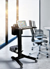 Laptop Mobile Cart (LPC04)